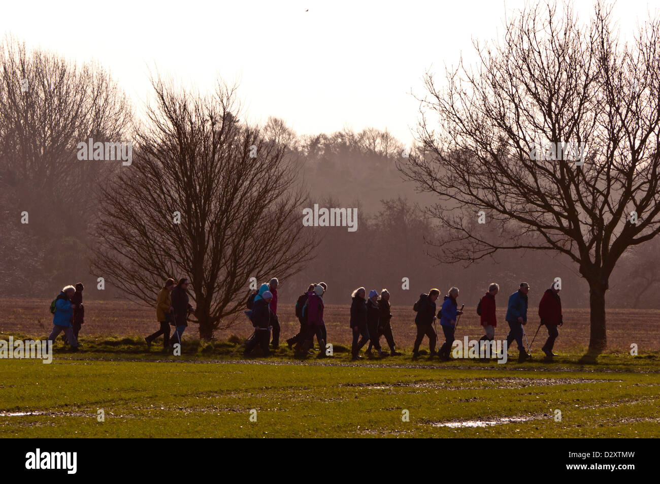 Groupe de hauts promeneurs randonneurs à pied dans les champs Banque D'Images