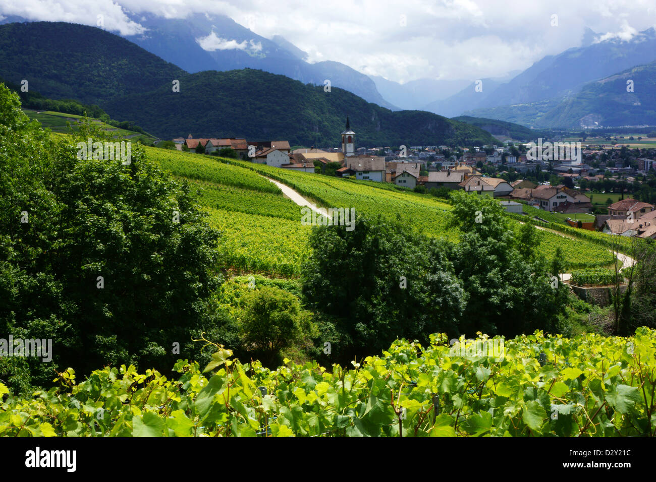Yvorne Ville de vignes, Valais, Suisse Banque D'Images