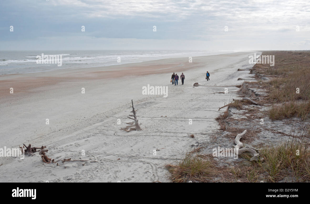 Little Talbot Island State Park le long de la côte Atlantique du nord de la Floride. Banque D'Images