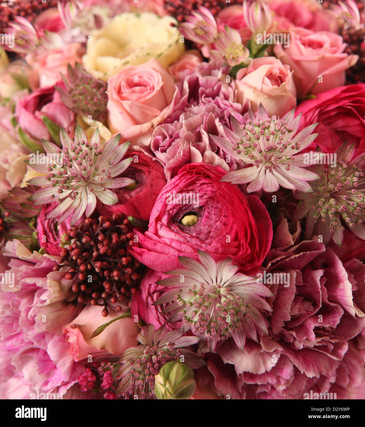 Close-up of bouquet de mariage avec Astrantia, Skimma, Brassica, rosier, Ranunculus asiaticus, girofle, Banque D'Images