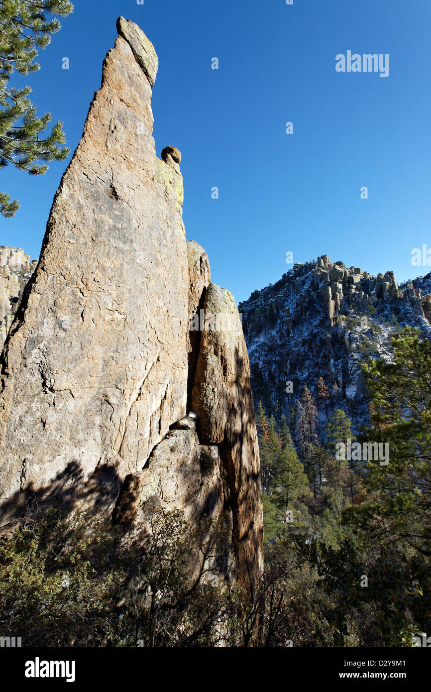 Lame de rhyolite, Monument National Chiricahua, Arizona Banque D'Images