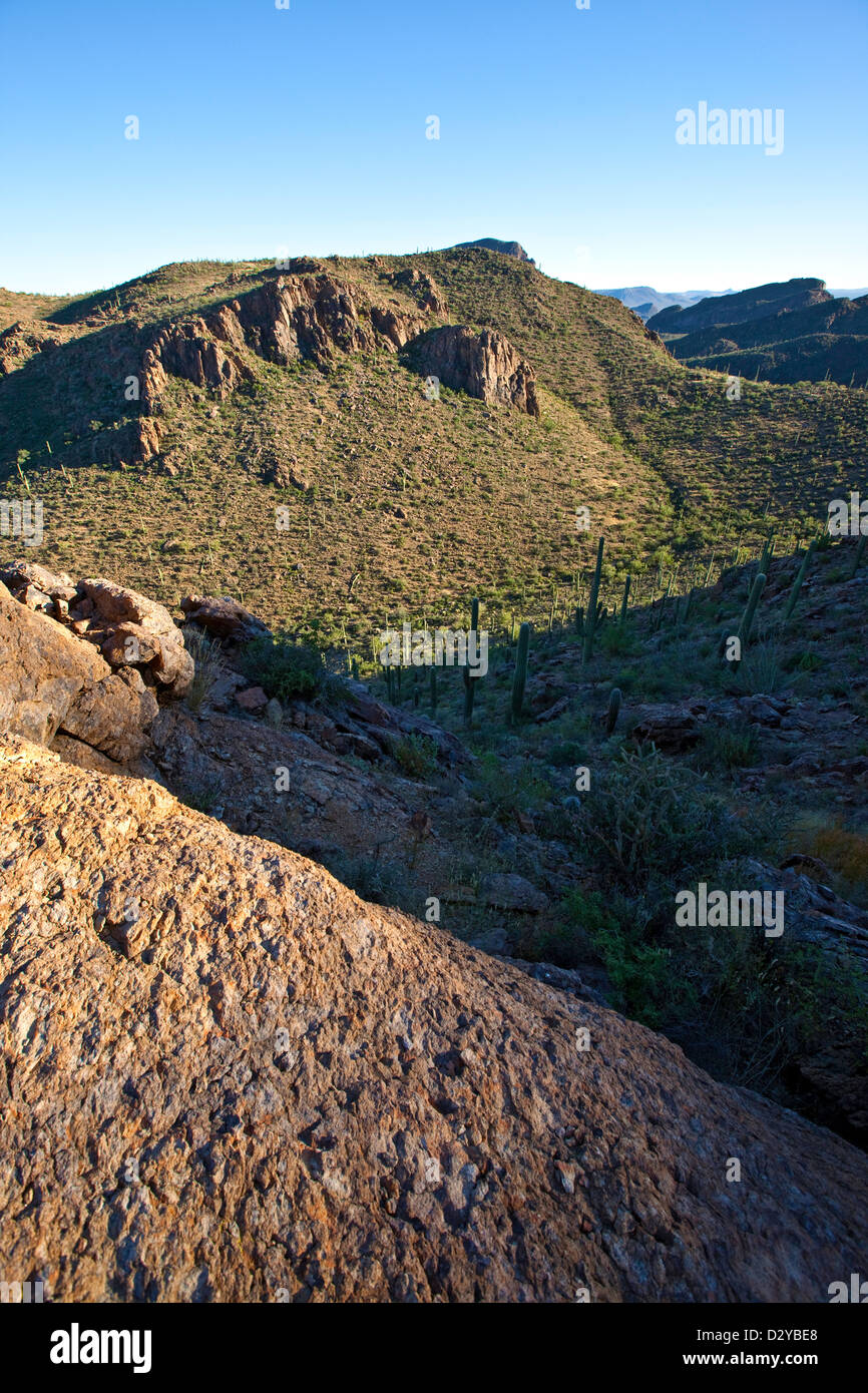 Montagnes de Tucson, Saguaro National Park West, Tucson, Arizona Banque D'Images