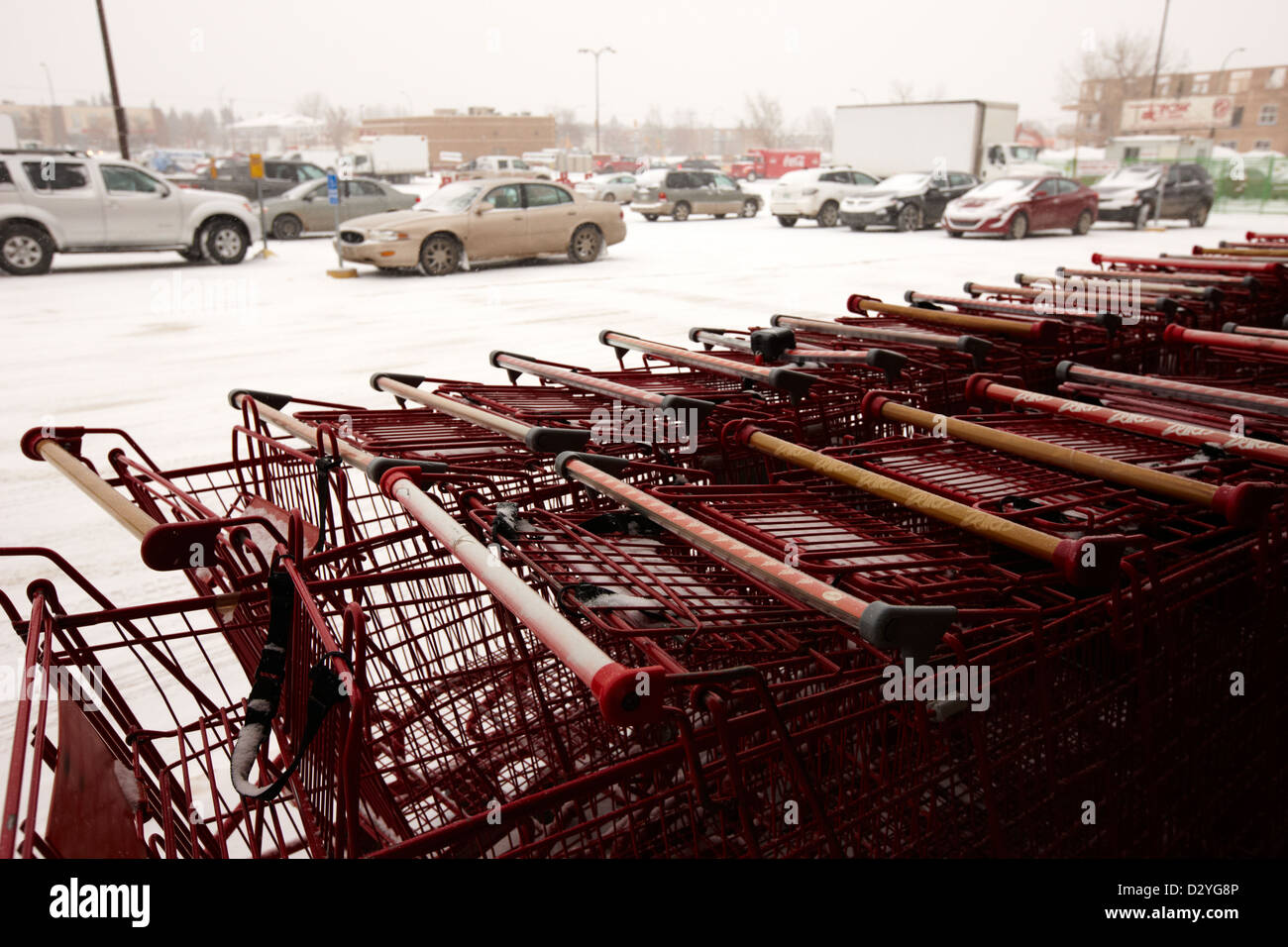 Rangée de chariots couverts de neige avec parking du supermarché Saskatoon Saskatchewan Canada Banque D'Images