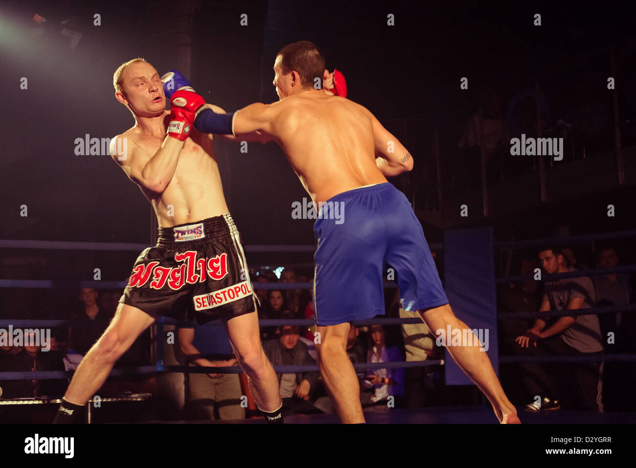 Championnat ukrainien LUTTE MIX Banque D'Images