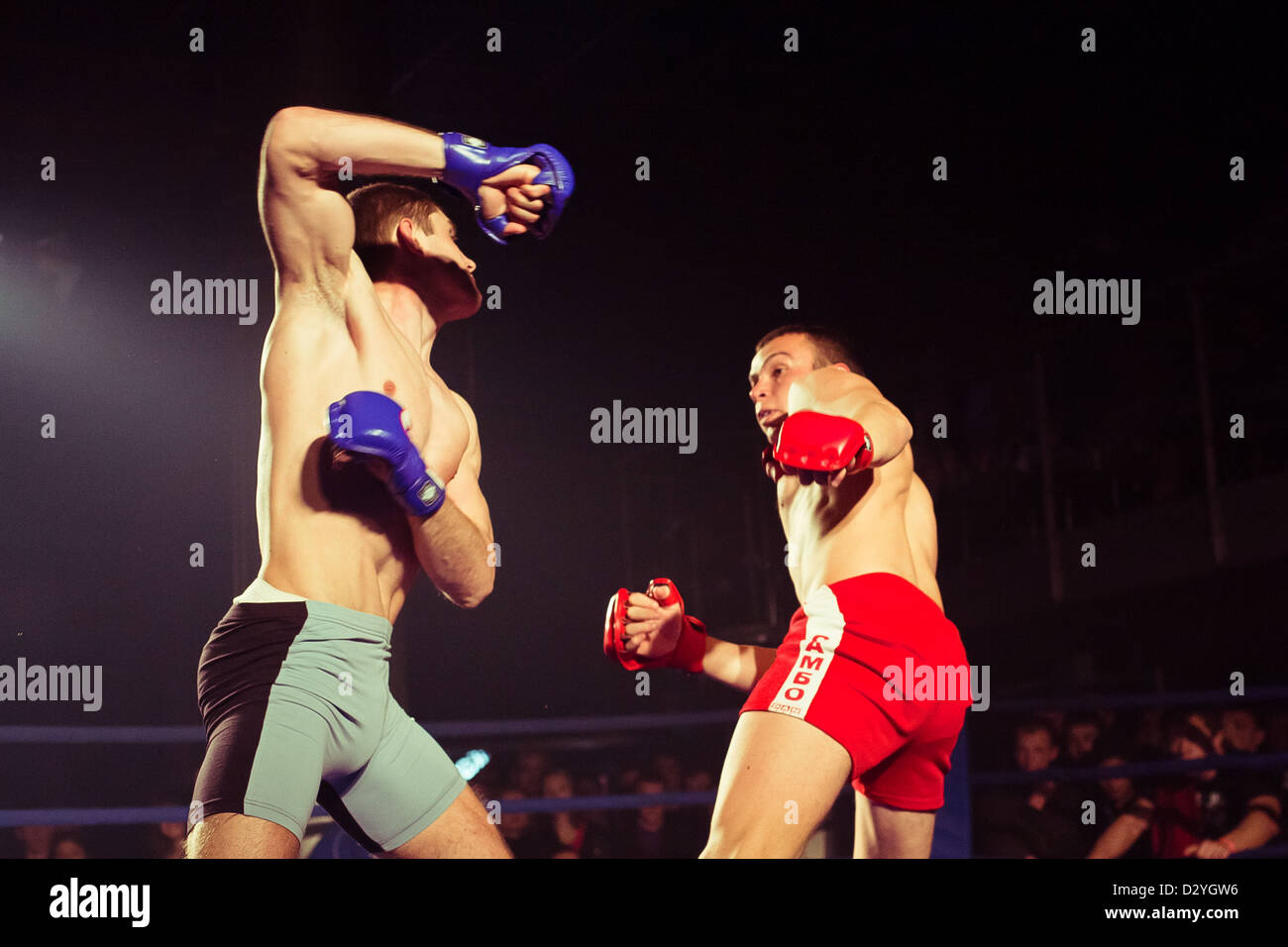 Championnat ukrainien LUTTE MIX Banque D'Images