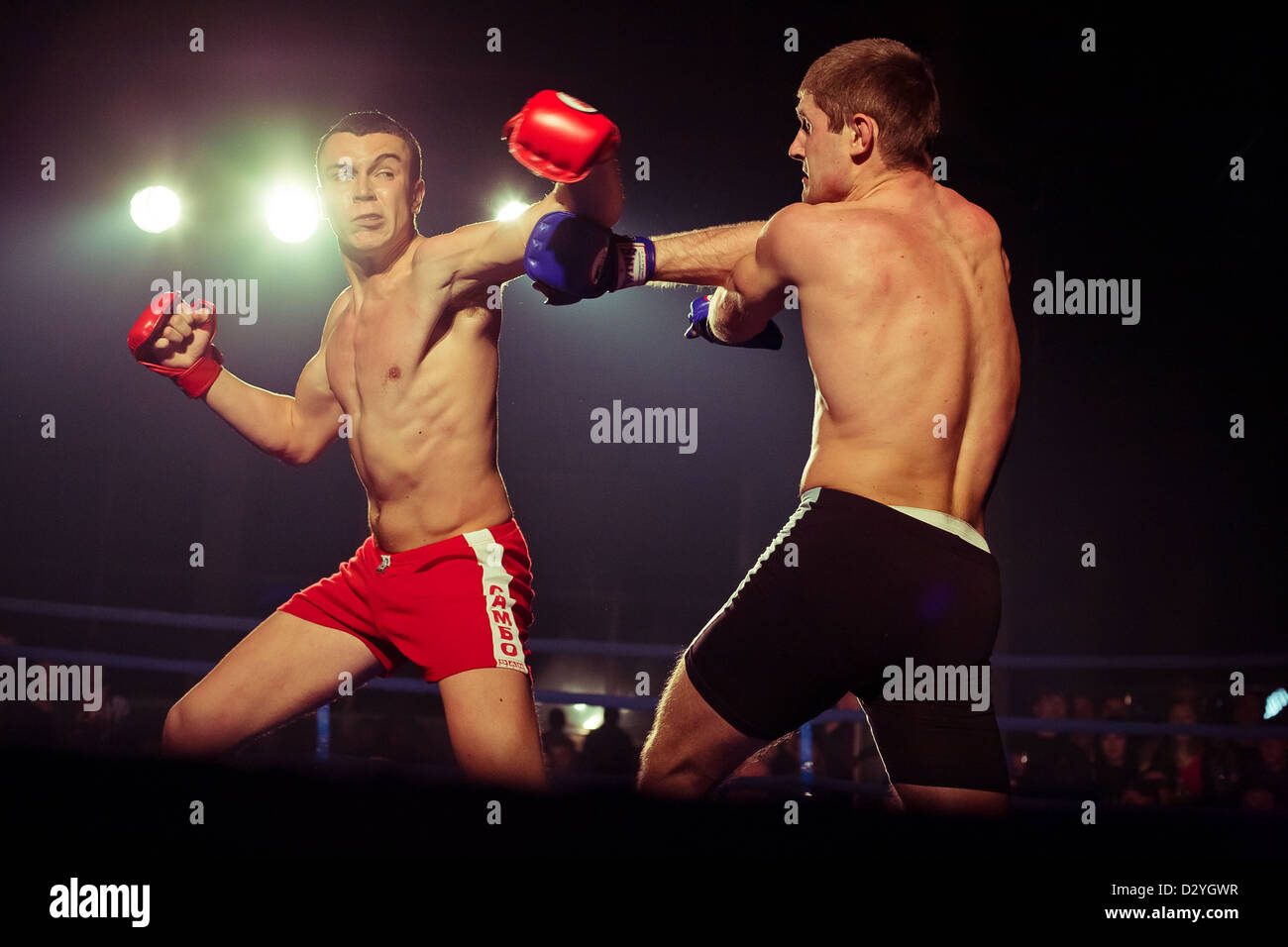 Championnat ukrainien LUTTE MIX Banque D'Images