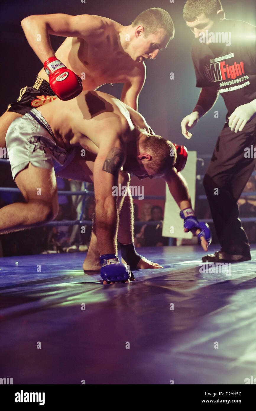 Championnat ukrainien LUTTE MIX Banque D'Images