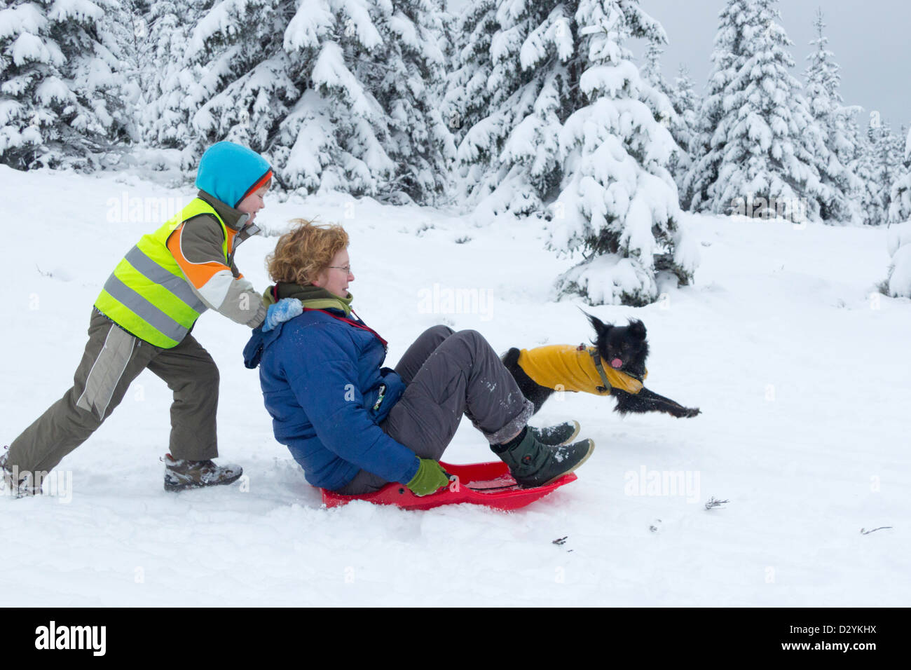 La mère et le fils de traineaux sur Sonnenberg près de Bad Sachsa, Harz, Basse-Saxe, Allemagne Banque D'Images