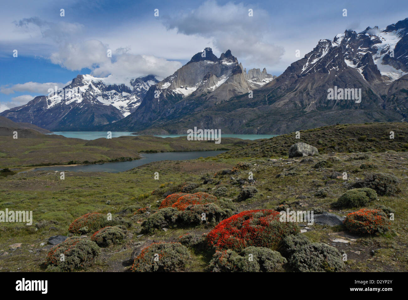 Lago Nordenskjold et le massif du Paine, Parc National Torres del Paine, Patagonie, Chili Banque D'Images