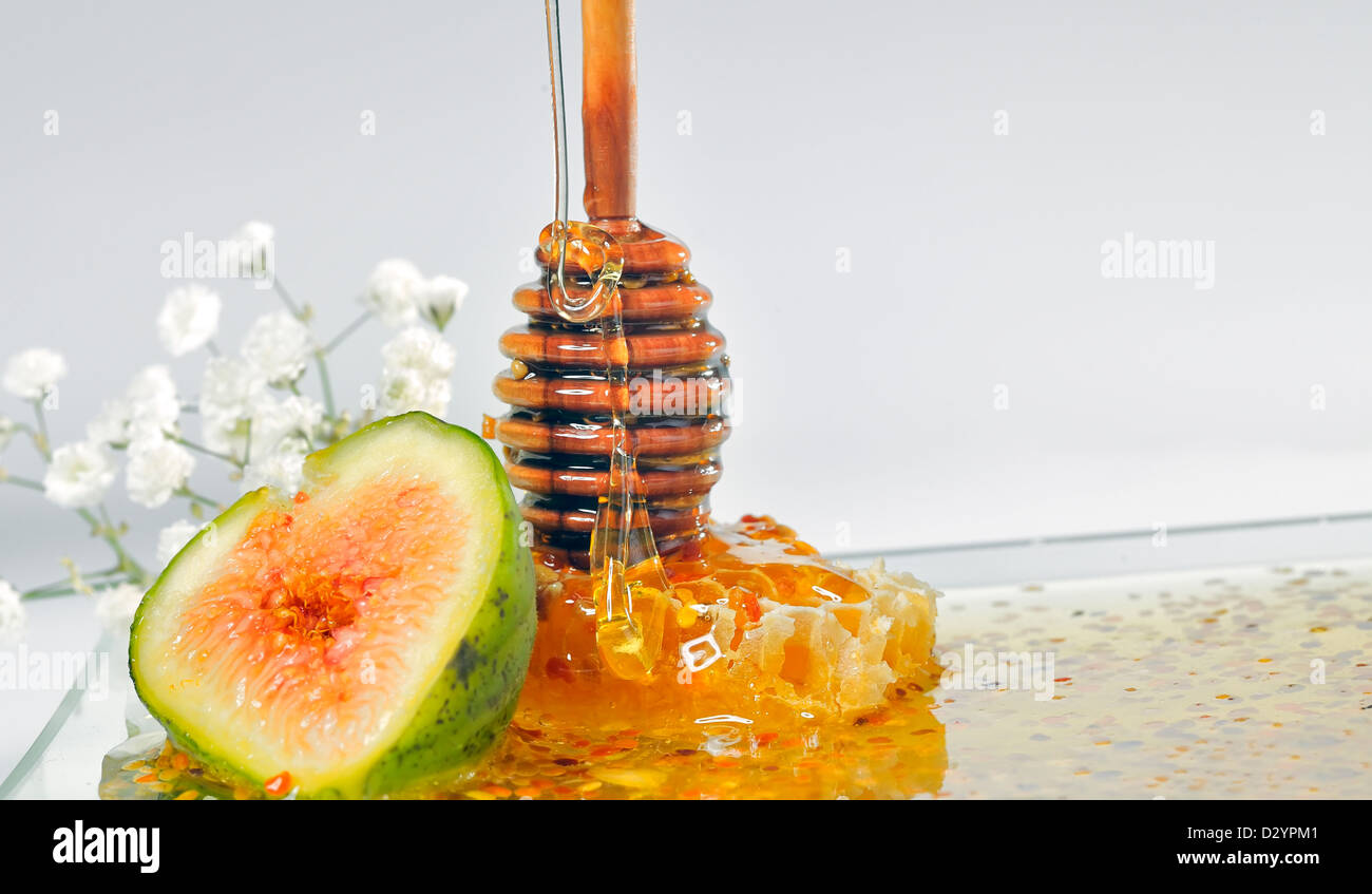 nid d’abeille Banque D'Images