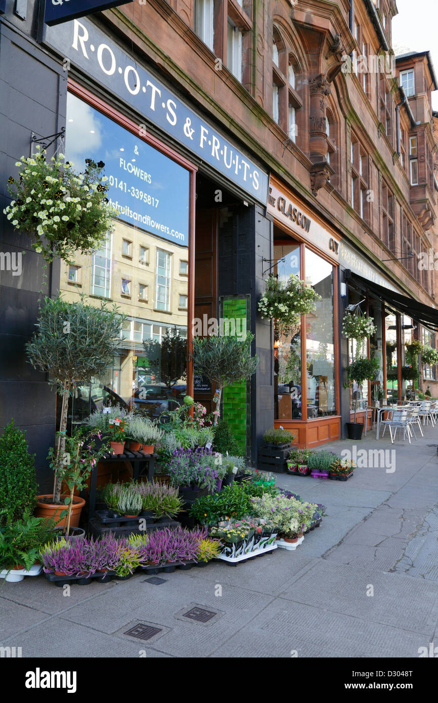 Fleur de fruits Banque de photographies et d’images à haute résolution