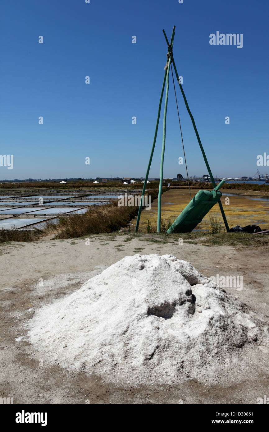 Le sel de marais salants de producted Aveiro, Portugal. Banque D'Images