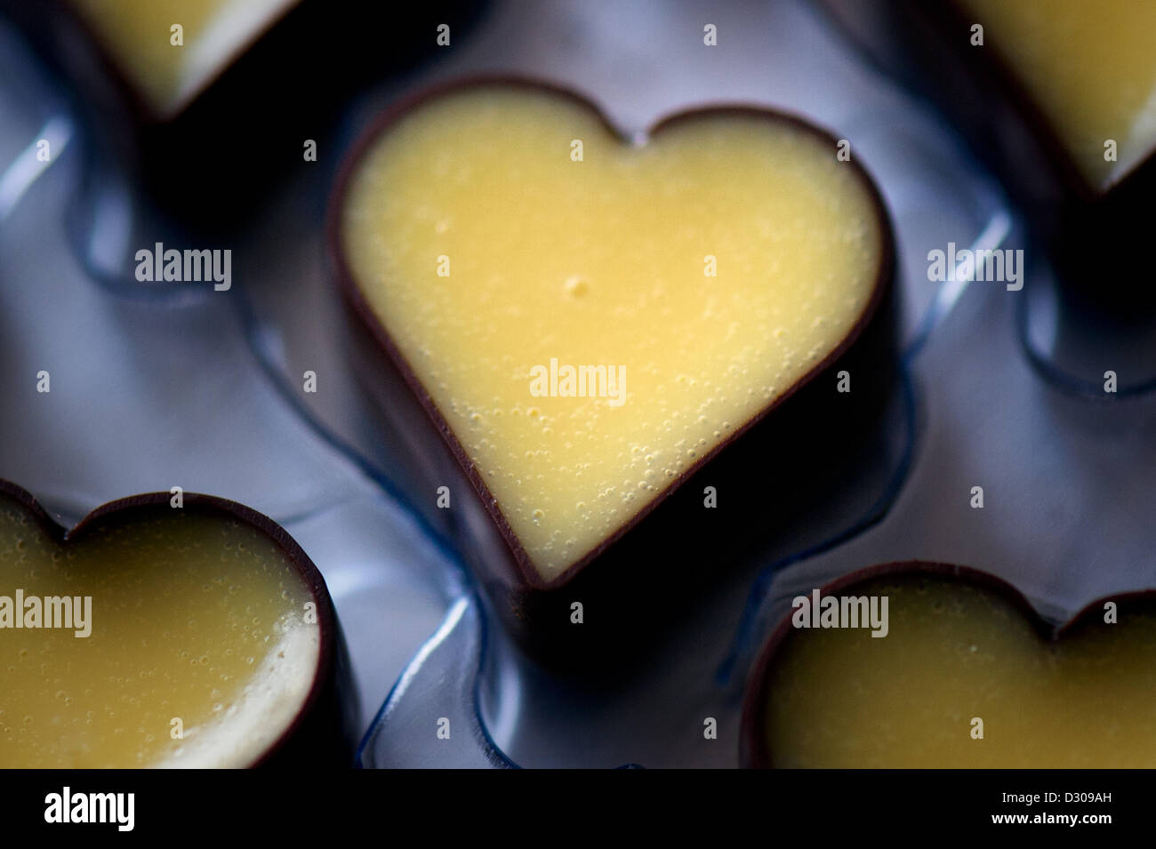 Bonbons en forme de coeur fait de advocaatsit dans le même moule à l'usine de chocolat à Heidenau, Allemagne, 05 février 2013. Chocolatier Schuerer, originaire de Lübeck, a fondé sa société en Saxe depuis 2004 et vend de 250 à 300 gourmandises au chocolat. Il employés cinq personnes. Ces bonbons en forme de cœur sont faits comme le dessert pour un menu Saint-Valentin pour Kastenmeiers Restaurant. Photo : ARNO BURGI Banque D'Images