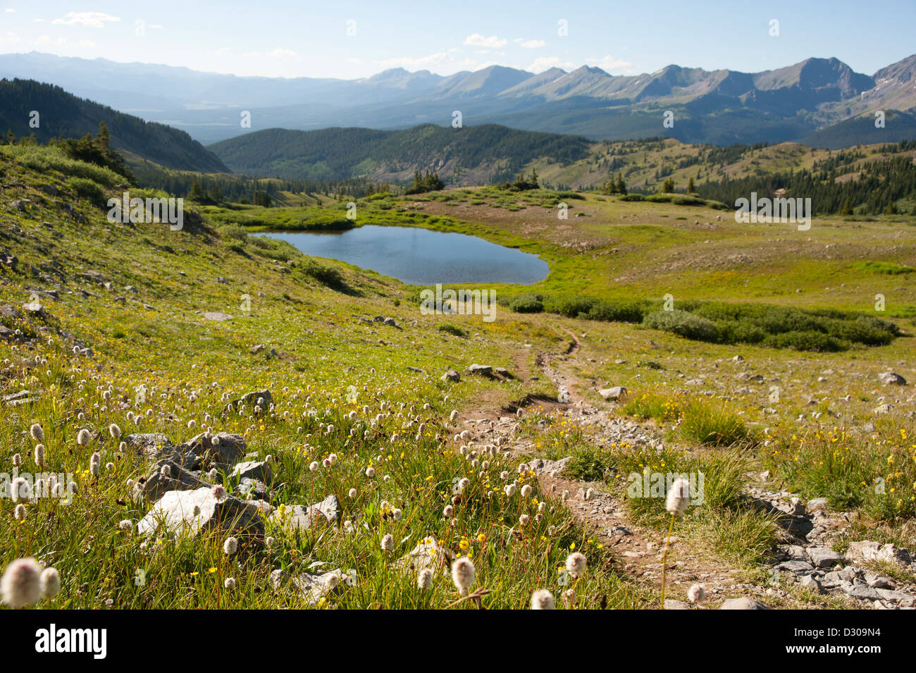 La conception occidentale de la partie supérieure de Cottonwood Pass, le long de la ligne de partage près de Buena Vista, Colorado Banque D'Images