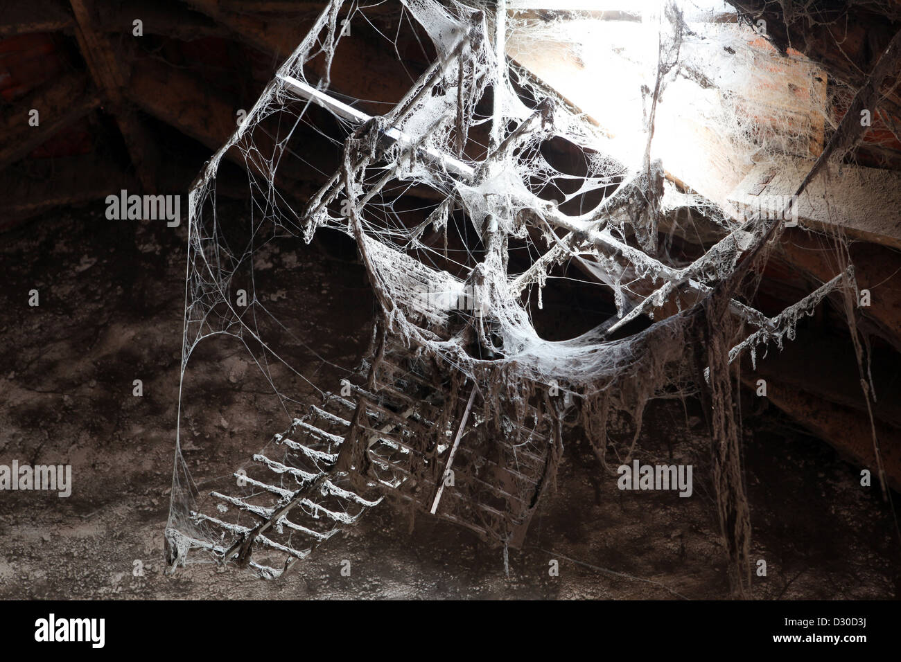 Gutersloh, Allemagne, en eingehuellte d'araignée à l'antenne TV Banque D'Images