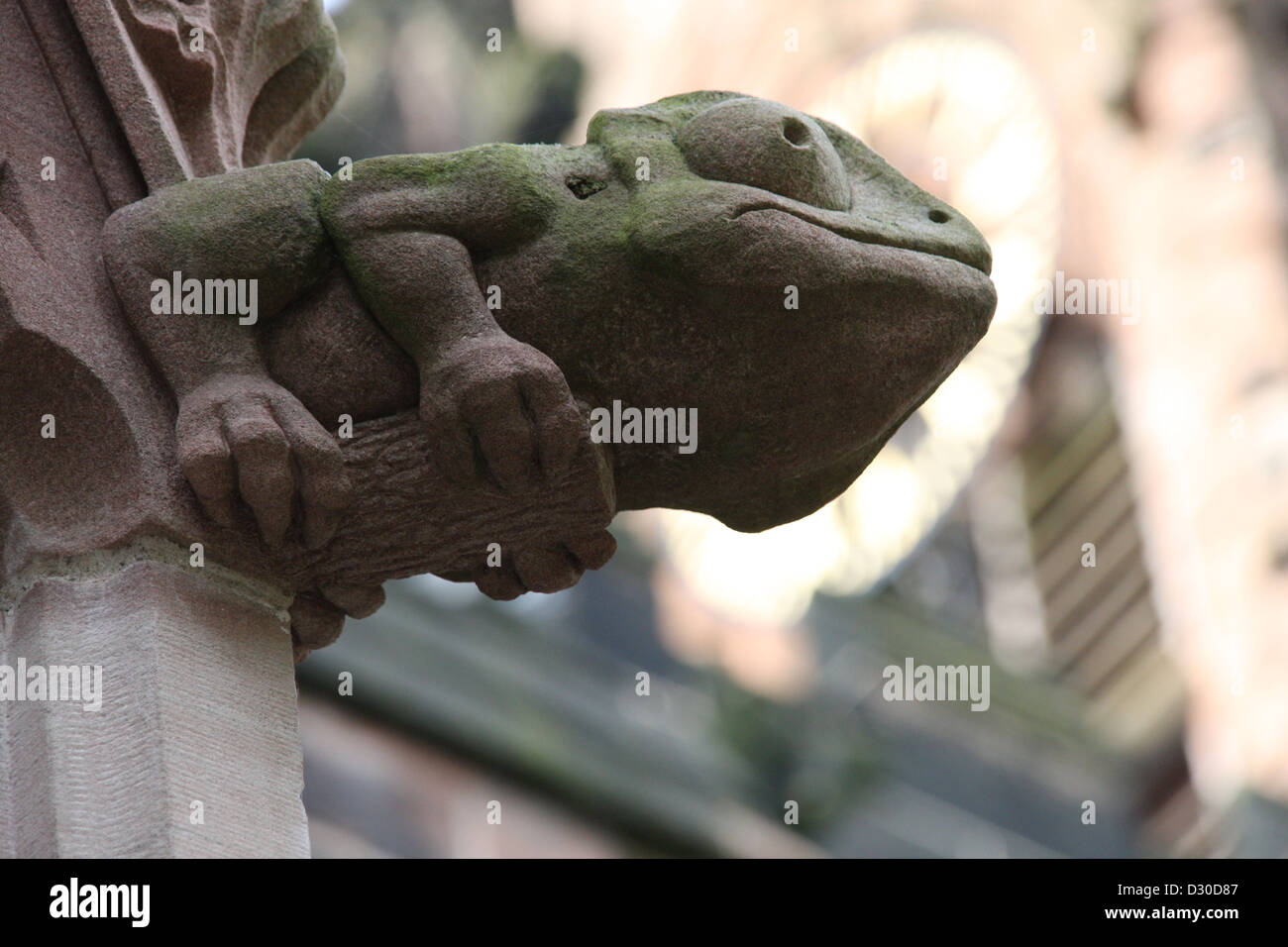 Frog-comme la sculpture, l'église St Mary, Nantwich, Cheshire Banque D'Images