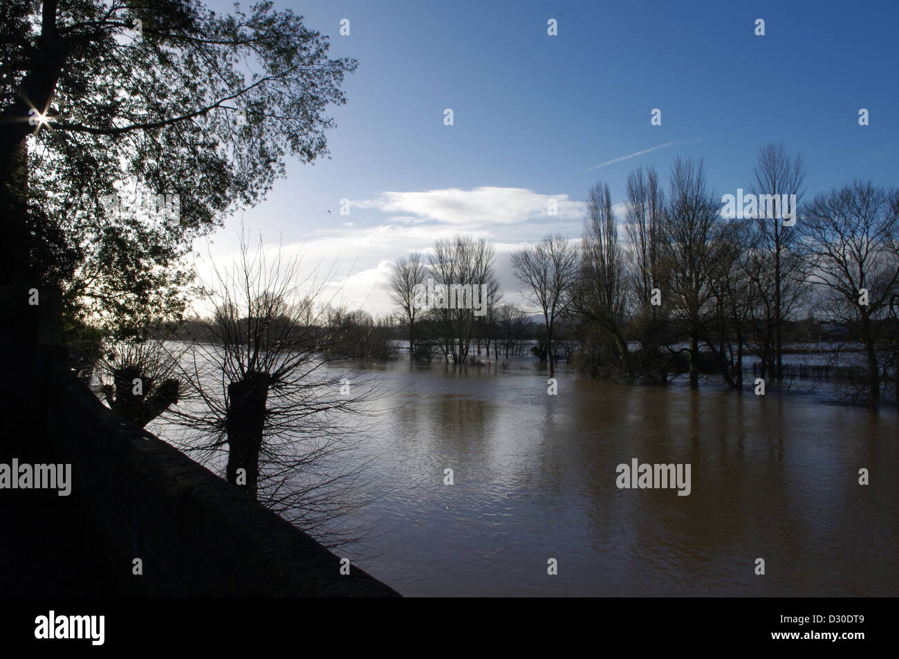 Inondation de la rivière Severn à à Worcester. À l'échelle de la cathédrale, avec les arbres étêtés en premier plan. Banque D'Images Inondation de la rivière Severn à à Worcester. À l'échelle de la cathédrale, avec les arbres étêtés en premier plan. Banque D'Images