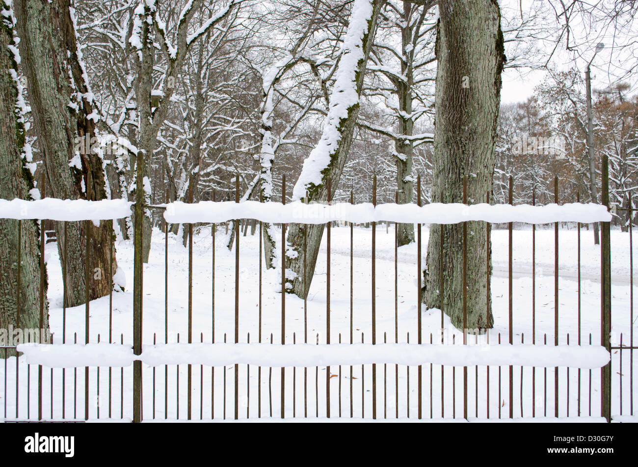 Rusty rétro clôture métallique recouvert de neige dans le parc et de vieux troncs d'arbres en hiver. Banque D'Images