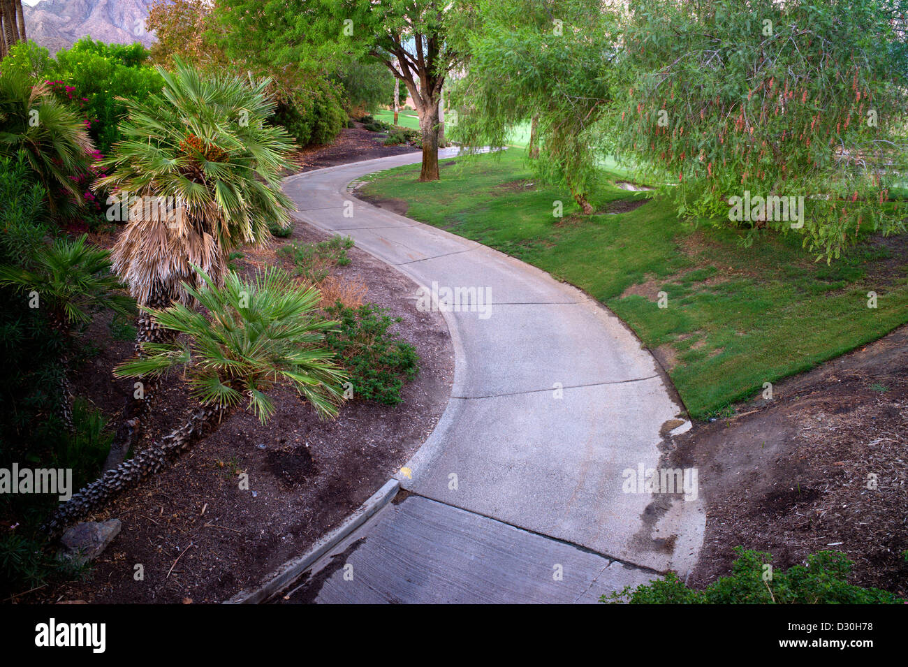 Chemin dans le jardin. Palm Desert, Californie Banque D'Images
