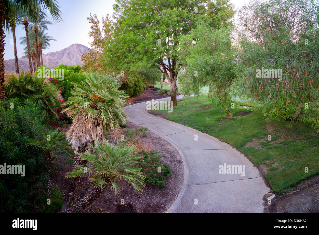 Chemin dans le jardin. Palm Desert, Californie Banque D'Images