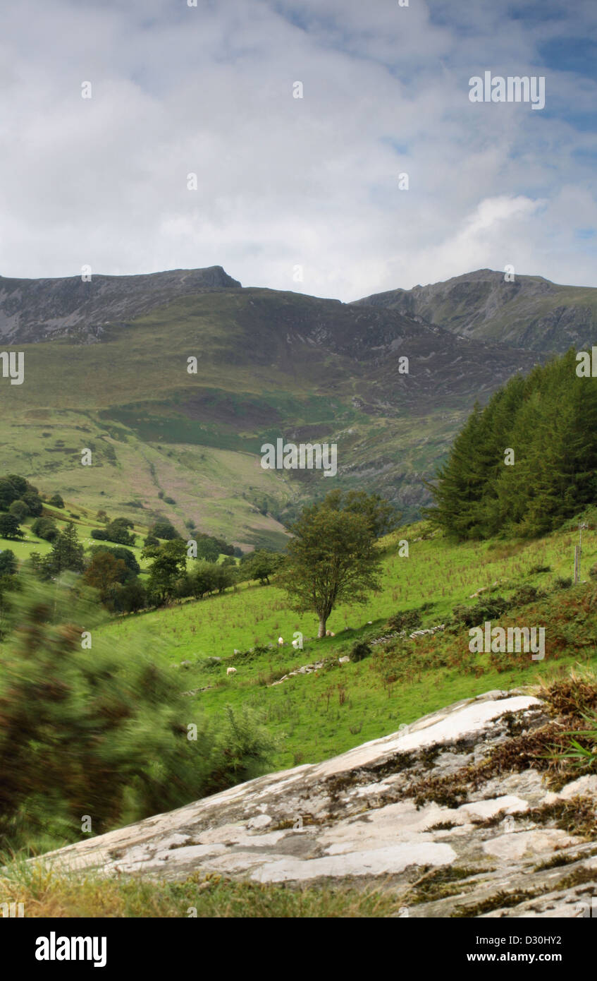 Cadir Idris mountain à partir d'un champ au-dessus du village de Corris Mid Wales Banque D'Images