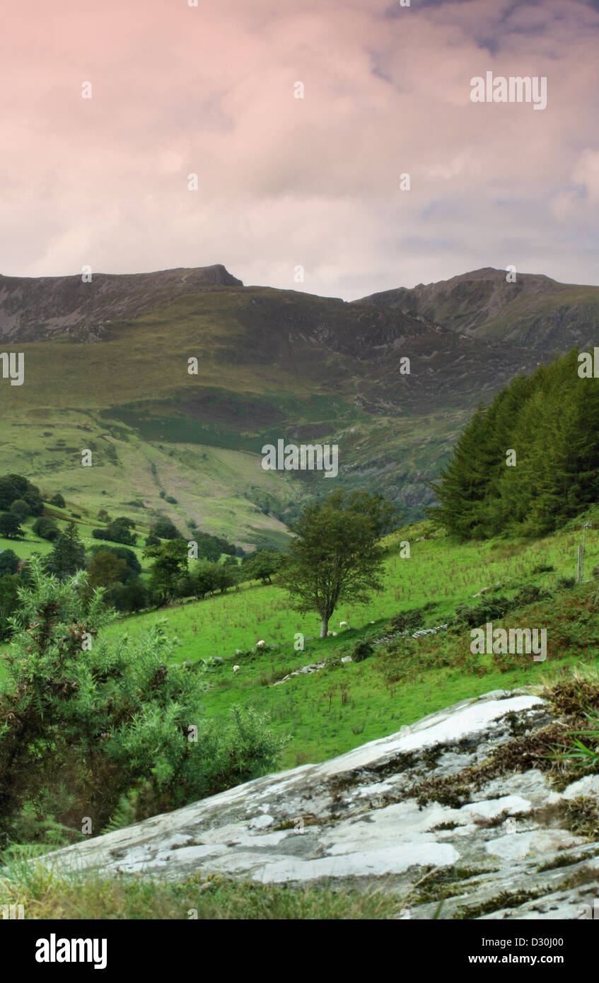 Cadir Idris mountain à partir d'un champ au-dessus du village de Corris Mid Wales Banque D'Images