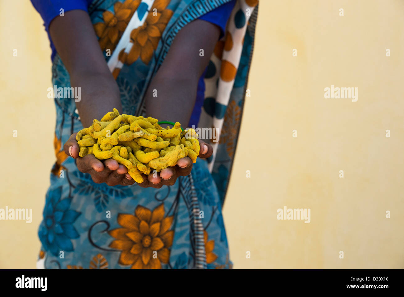 Village de l'Inde rurale woman holding Curcuma Séché / racines rhizomes dans ses mains. L'Andhra Pradesh, Inde Banque D'Images