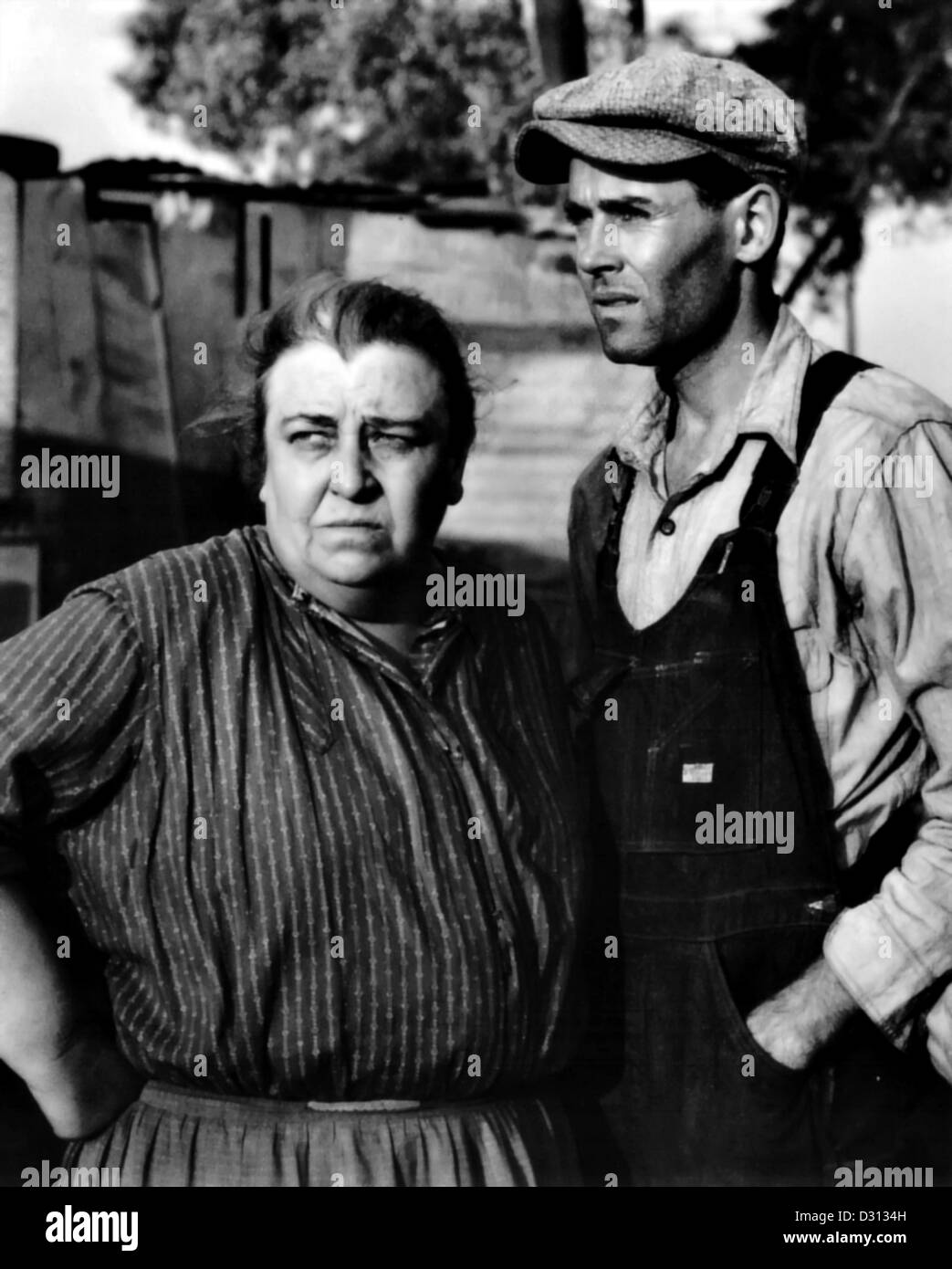Auteur Américain Des Raisins De La Colère Les raisins de la colère Banque de photographies et d'images à haute  résolution - Alamy