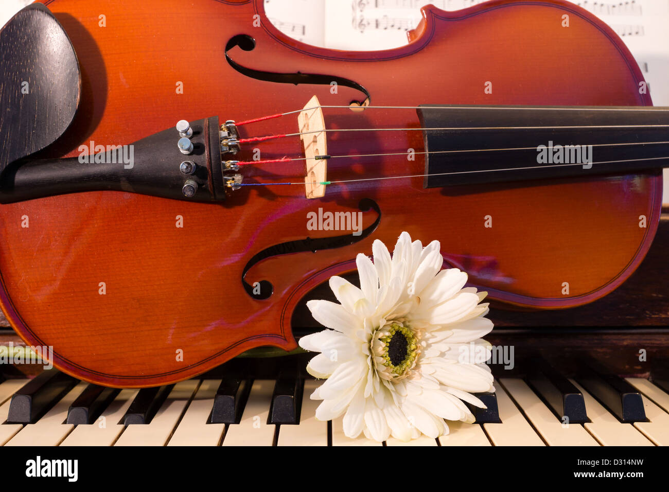 Un violon et une fleur blanche s'asseoir sur le dessus d'un clavier de piano. Banque D'Images