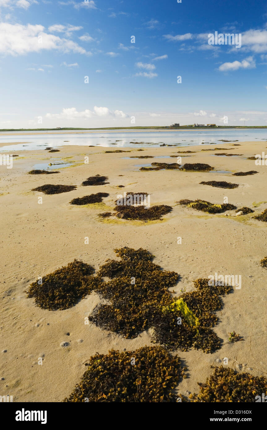 Plage sur la mer, île de Peedie Sanday, Orkney Islands, en Écosse. Banque D'Images
