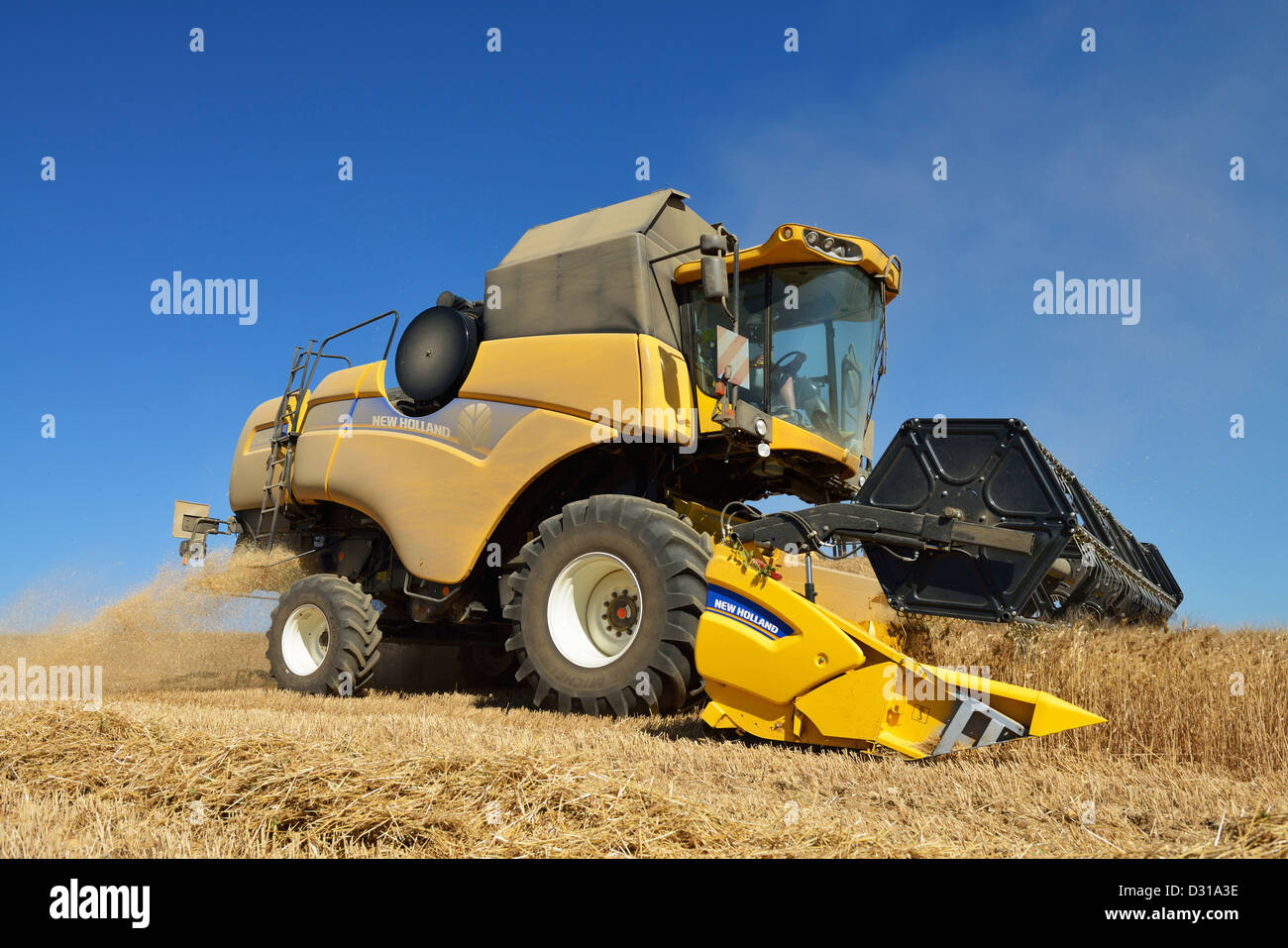 Grandes moissonneuses-batteuses dans les champs de blé en été, Valensole, France Banque D'Images