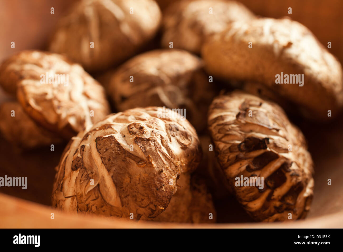 Champignons Shiitake frais montrant le motif donko sur leur casquette Banque D'Images