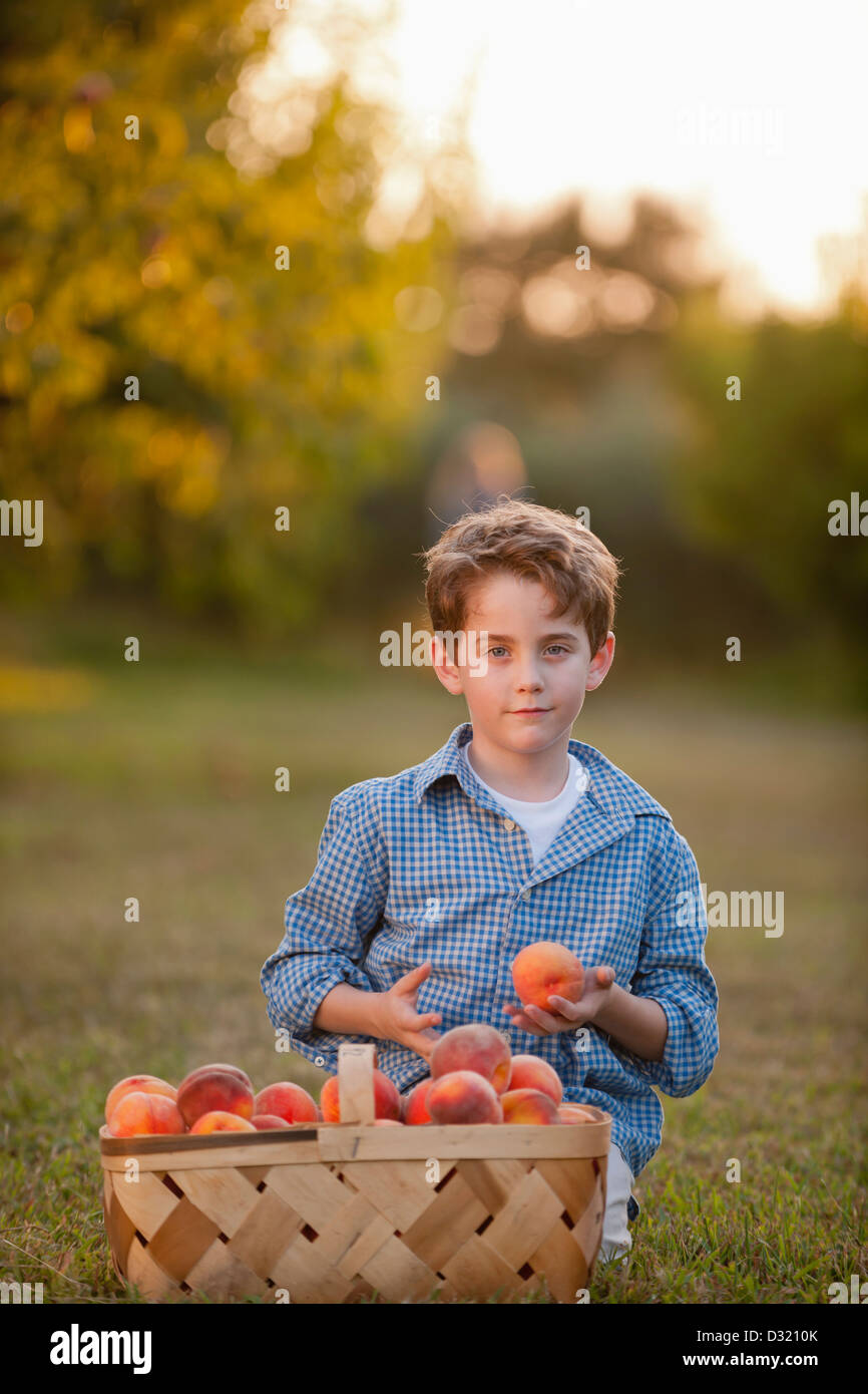 Caucasian boy picking fruit in orchard Banque D'Images