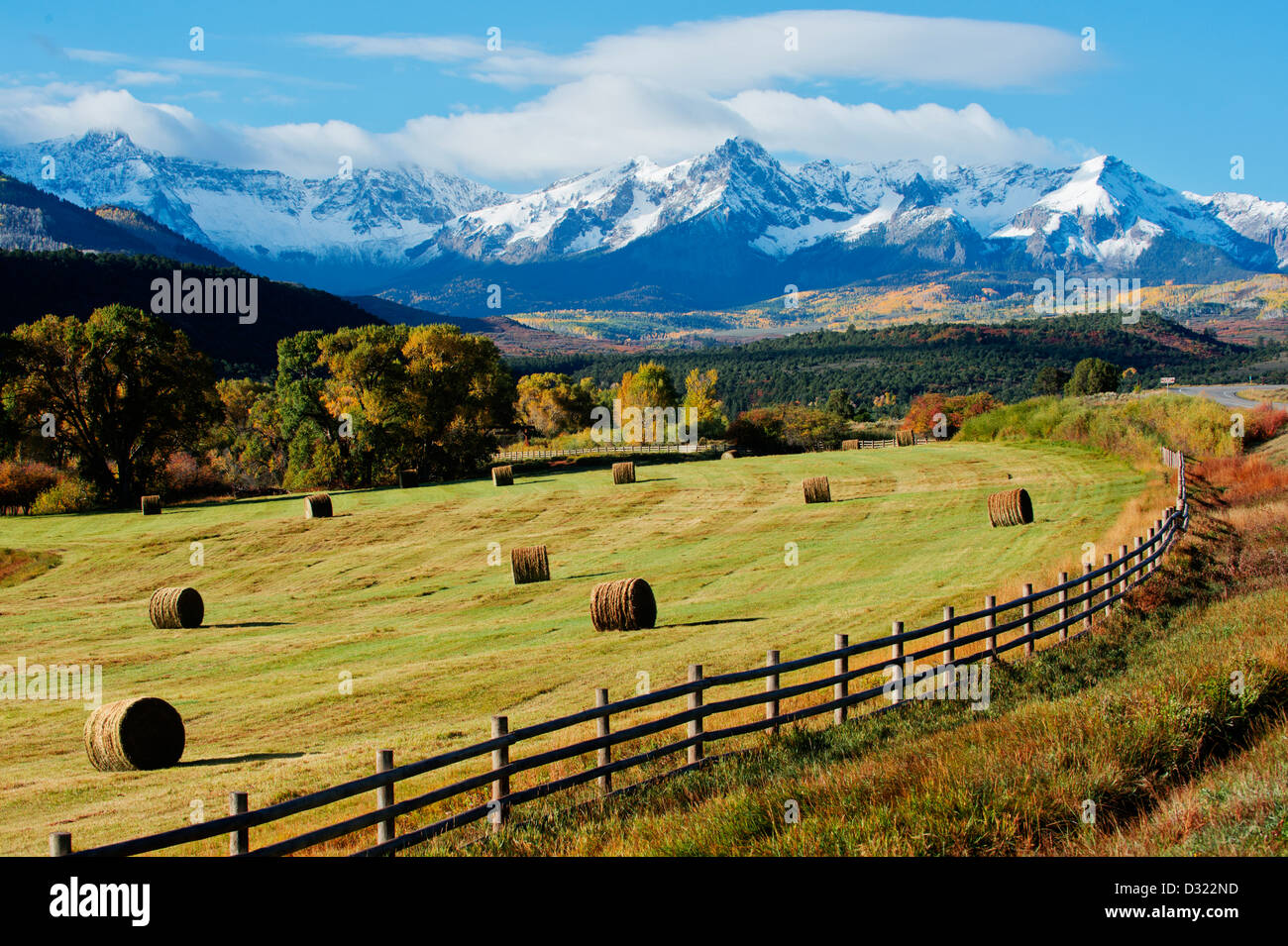 Hay bales in rural field Banque D'Images