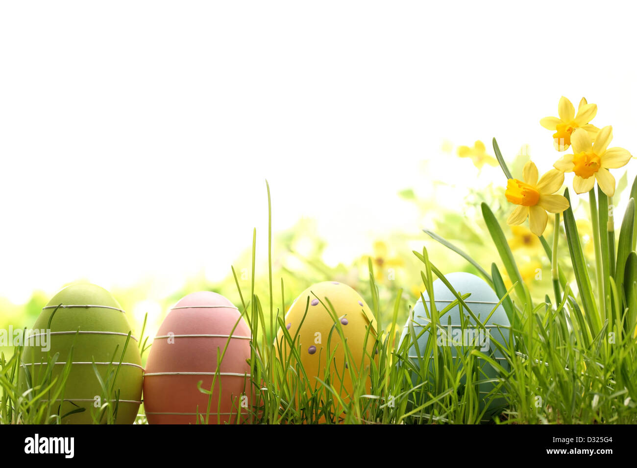 Oeufs de Pâques décorés avec pelouse et fleurs. Banque D'Images
