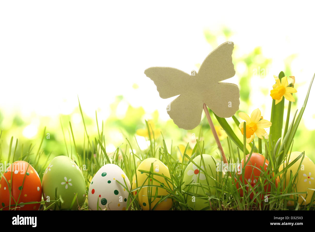 Les œufs de Pâques cachés dans l'herbe,concept de Pâques. Banque D'Images