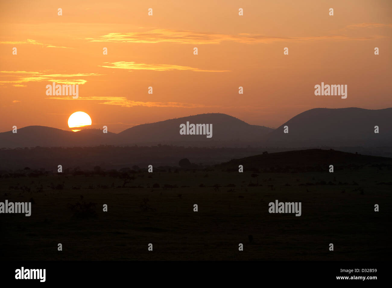 Le lever du soleil, Lewa Wildlife Conservancy, Plateau de Laikipia, Kenya Banque D'Images