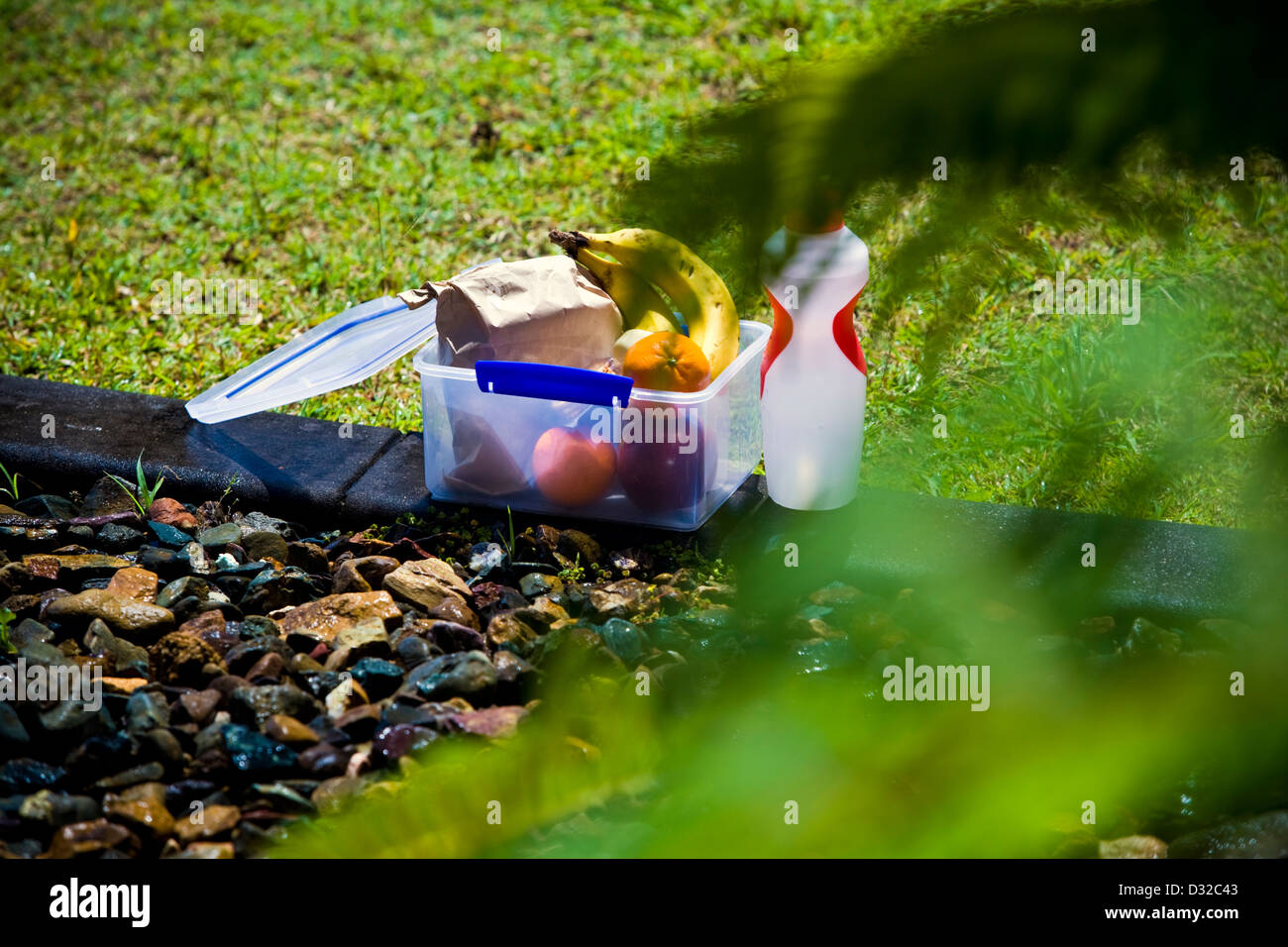 La santé de paniers déjeuner à l'école fort avec les bananes, pommes, oranges, sandwich et de boire une bouteille d'eau Banque D'Images