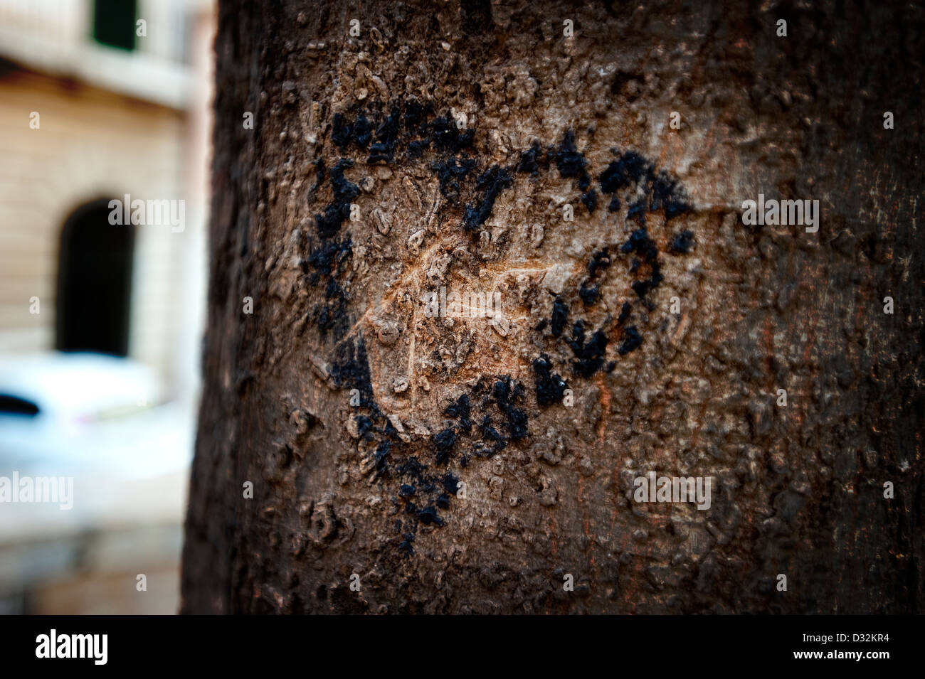 Le symbole de coeur on tree Banque D'Images