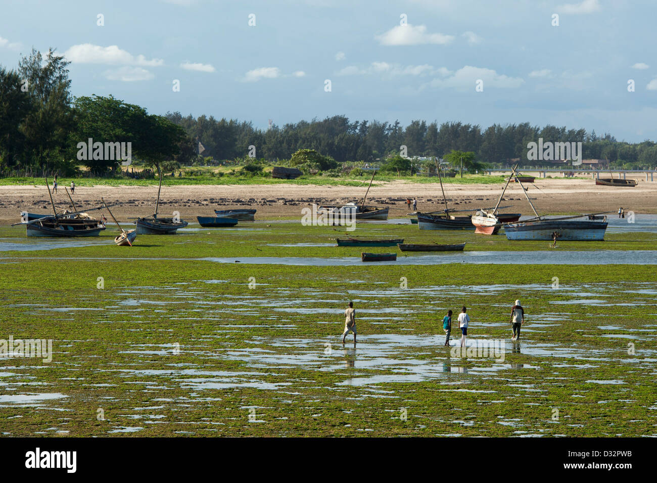Des bateaux de pêche à marée basse, Malindi, Kenya Banque D'Images