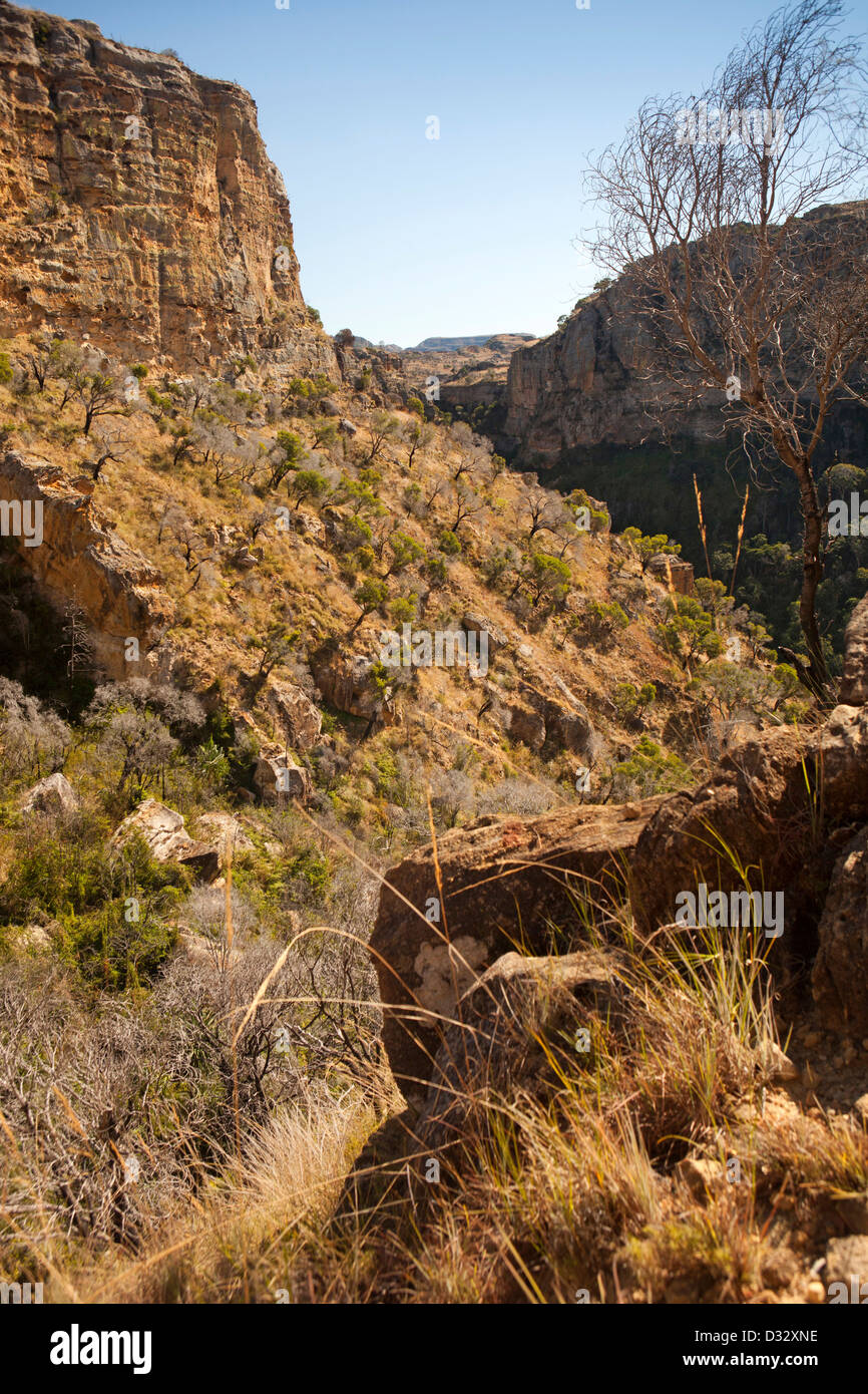 Madagascar, le Parc National de l'Isalo, Namaza, gorges rocheuses Banque D'Images