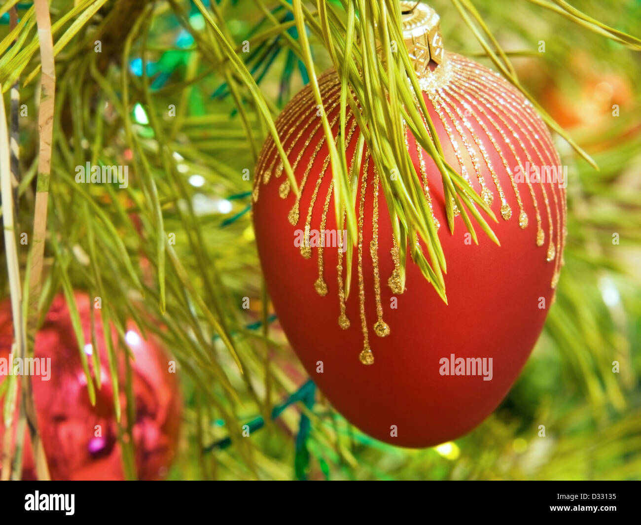 Boule rouge sur une branche de pin de Noël prises libre. Banque D'Images