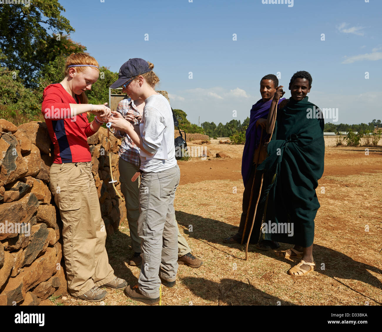 Les chercheurs étudiant les insectes à aspiration du mur de pierre dans un récipient de recherches tout en tubes d'Éthiopiens observent Banque D'Images