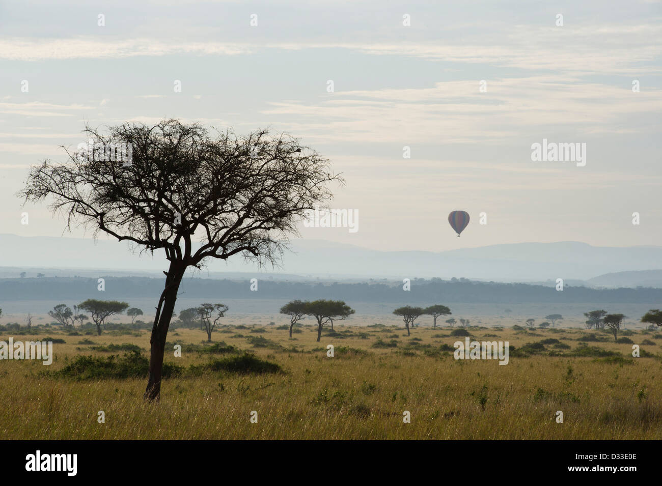 Vol en montgolfière sur le Masai Mara National Reserve, Kenya Banque D'Images