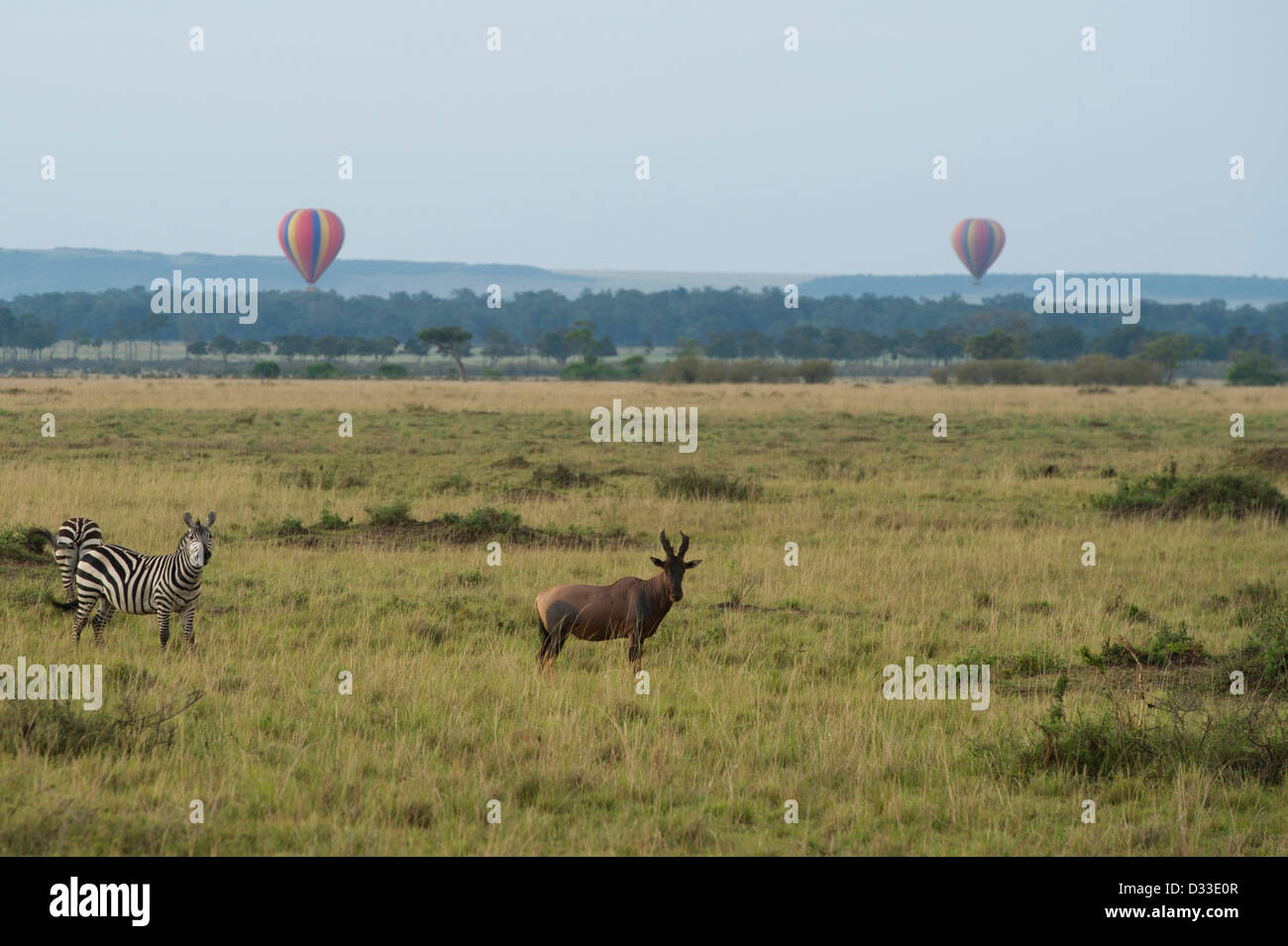 Vol en montgolfière sur le Masai Mara National Reserve, Kenya Banque D'Images