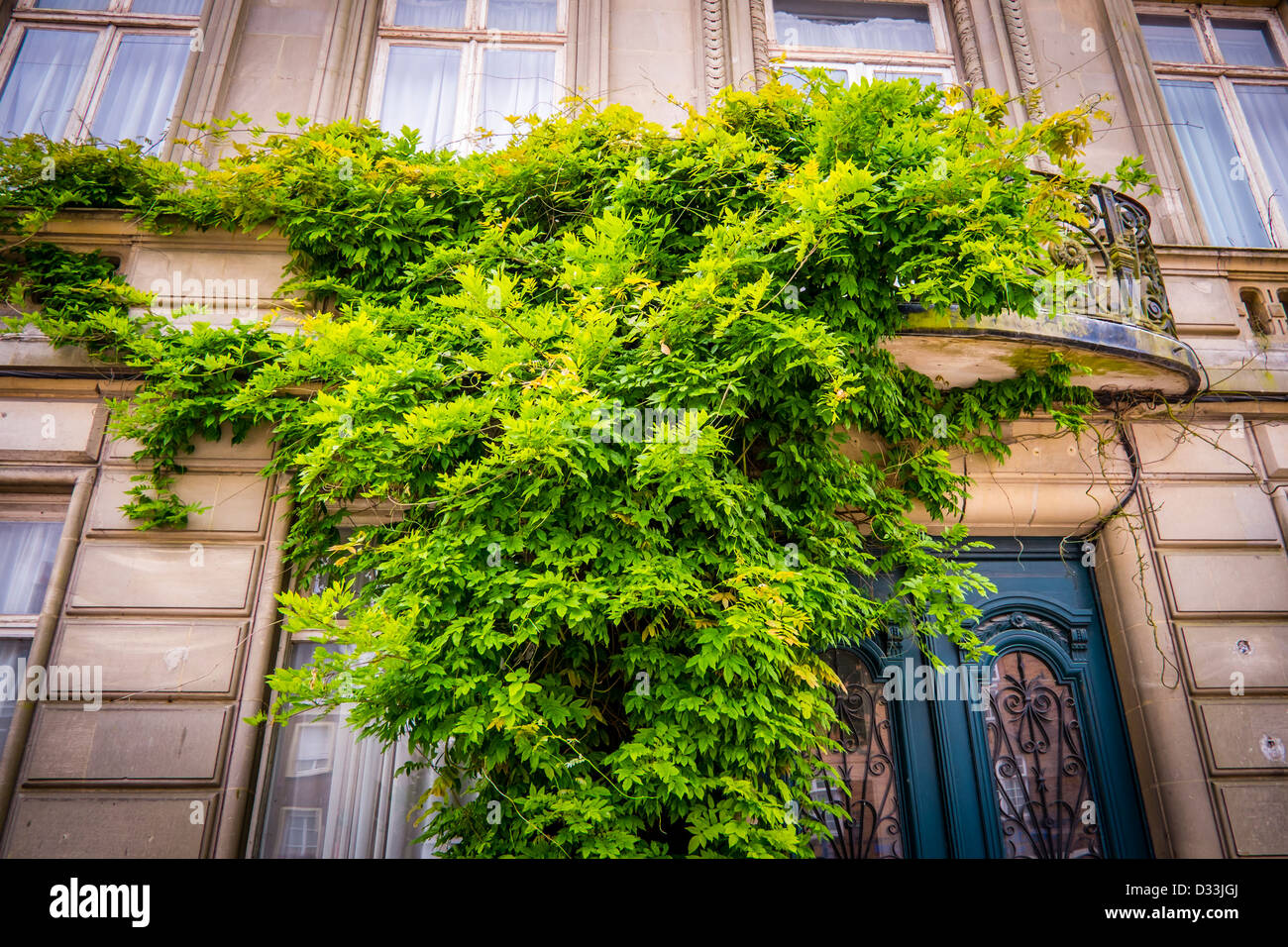 Un balcon sous les glycines à Cassel, Normandie, France Banque D'Images