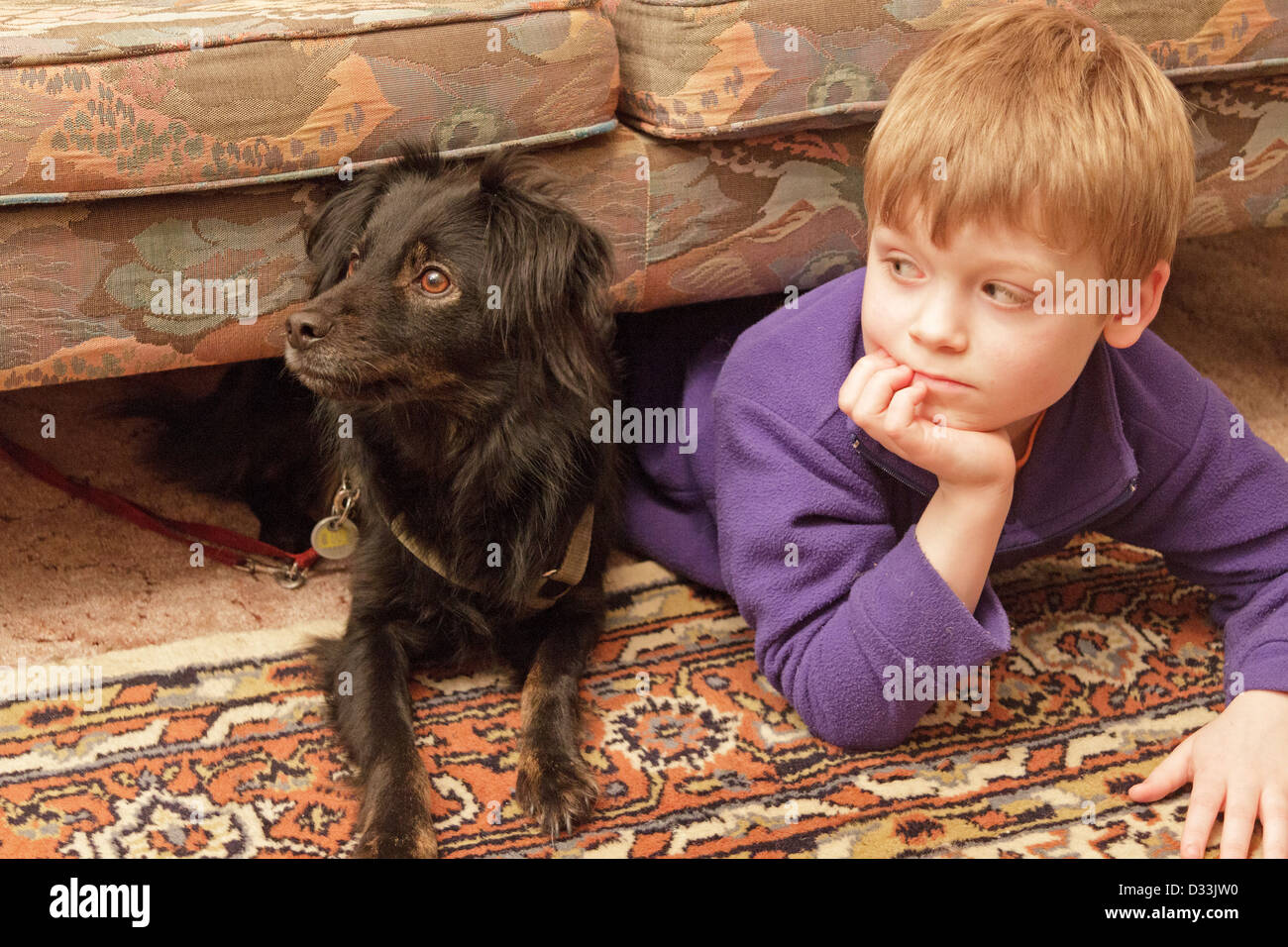 Portrait d'un jeune garçon et son chien couché sous un canapé Banque D'Images