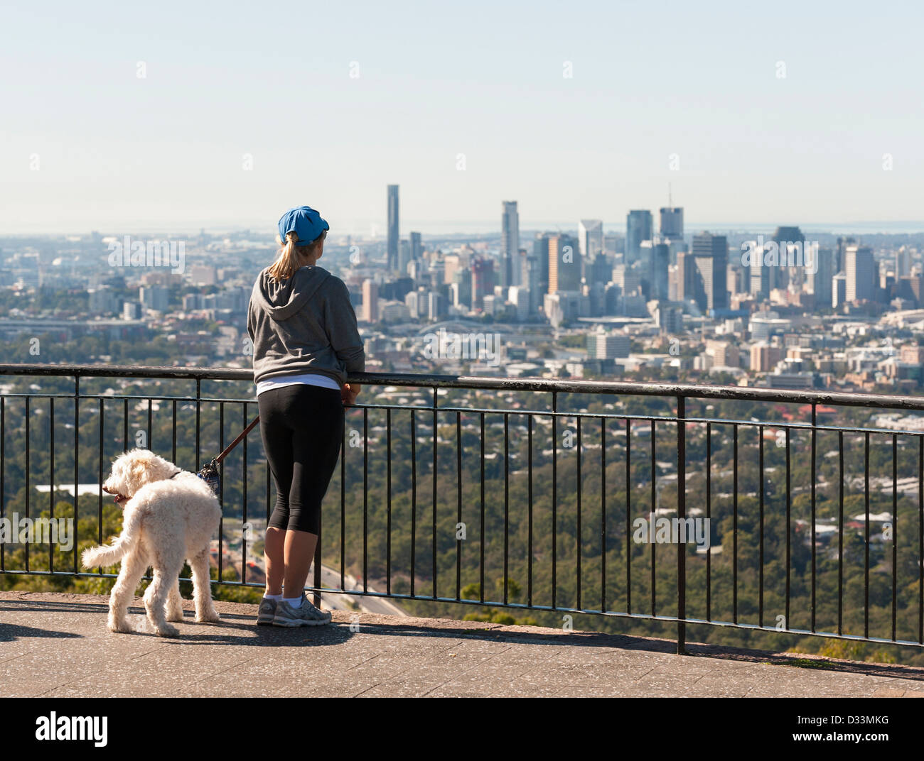 La ville de Brisbane, Queensland, Australie - Femme avec chien à plus de Mount Coot-Tha viewpoint Banque D'Images