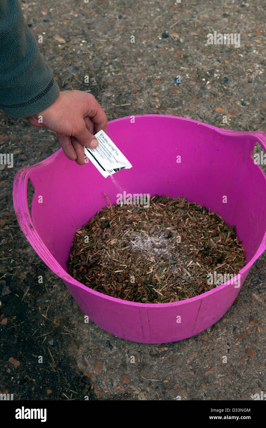 La phénylbutazone est ajoutée à l'alimentation des chevaux. Bute est un anti-inflammatoire couramment utilisé par les vétérinaires pour traiter la douleur chez les chevaux. Les chevaux qui ont été traités avec bute sont interdits de nourriture humaine par l'Agence des normes alimentaires. Il y a des inquiétudes quant au fait que le cavalier trouvé dans les produits de boeuf peut contenir des traces de bute. Banque D'Images