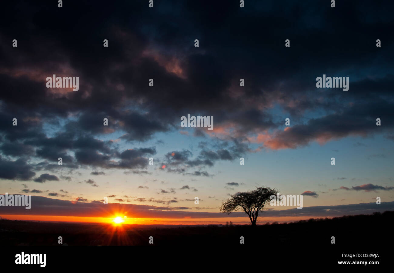 Un arbre isolé au coucher du soleil, Arnold Nottingham UK Banque D'Images